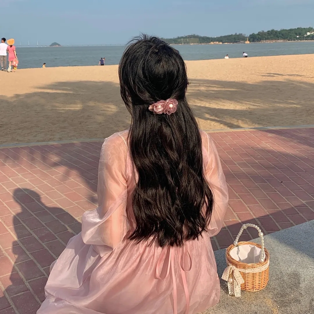 护国驸马爷一国驸马护山河